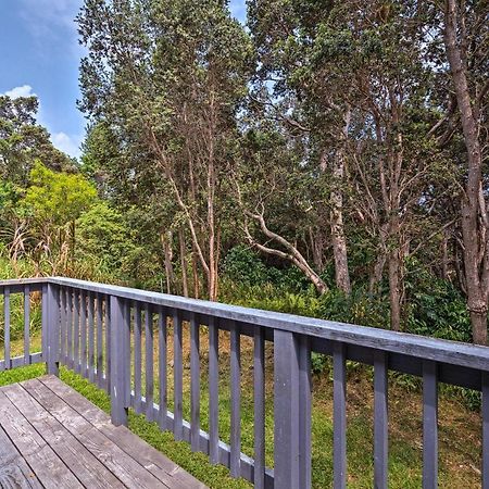 Peaceful Abode With Deck, 13 Mi To Black Sand Beach! Naalehu Extérieur photo